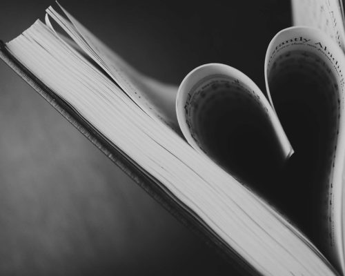 pexels-nothing-ahead-7457655